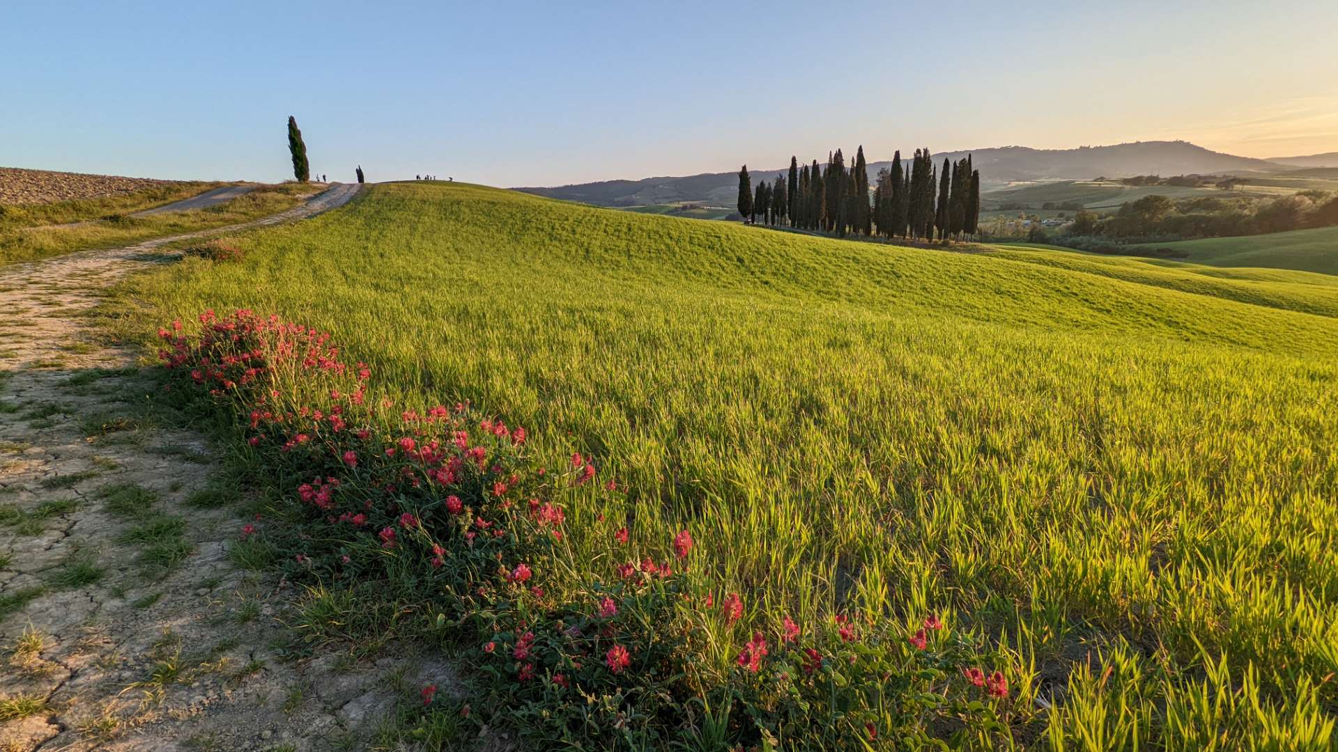 Prenotazioni - Noleggio e-bikes o bici gravel e Tour guidati in Val d'Orcia (pedala e ripara slide page 8)