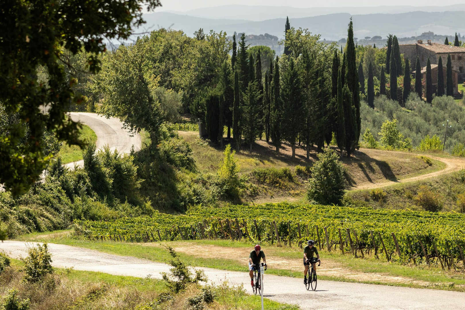 TOUR I VIGNETI DEL BRUNELLO (50km) un giorno