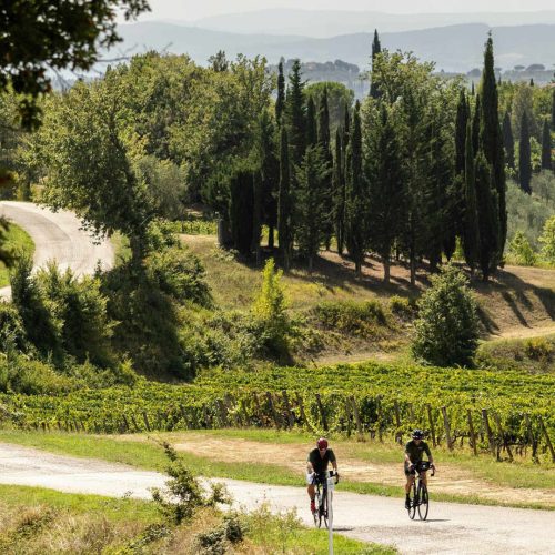TOUR I VIGNETI DEL BRUNELLO (50km) un giorno